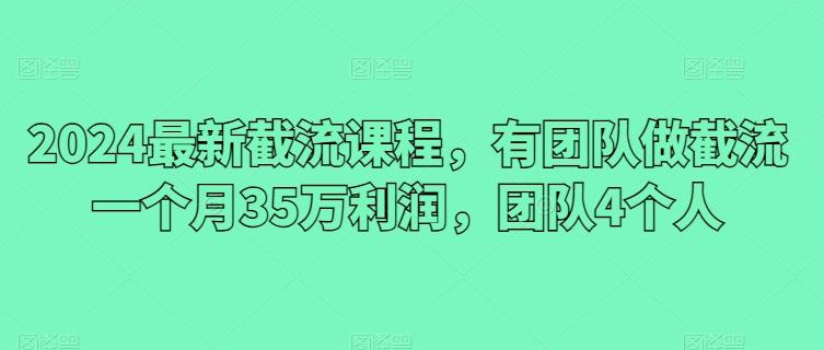 2024最新截流课程，有团队做截流一个月35万利润，团队4个人-菜菜网创