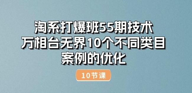 淘系打爆班55期技术：万相台无界10个不同类目案例的优化(10节)-菜菜网创