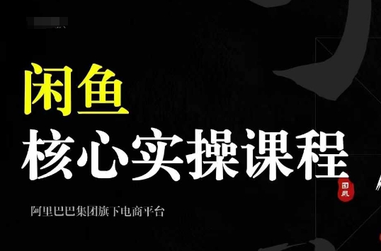 2024闲鱼核心实操课程，从养号、选品、发布、销售，教你做一个出单的闲鱼号-菜菜网创