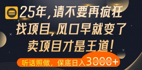 什么？25年你还在疯狂找项目做，醒醒吧，看完这些你全都懂了【揭秘】-菜菜网创