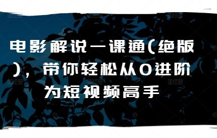 电影解说一课通(绝版)，带你轻松从0进阶为短视频高手-菜菜网创