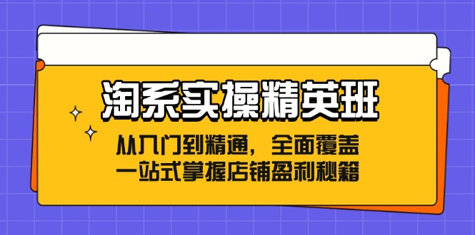 淘系实操精英班：从入门到精通，全面覆盖，一站式掌握店铺盈利秘籍-菜菜网创