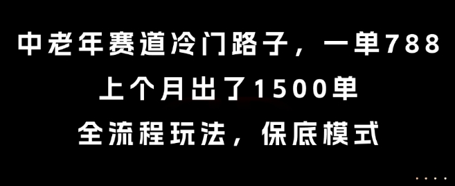 中老年赛道冷门路子，一单788，上个月出了1500单，全流程玩法，保底模式【揭秘】-菜菜网创
