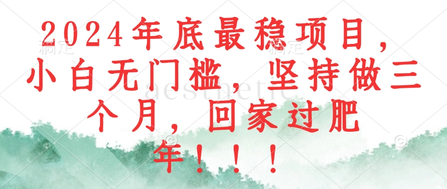 2024年底最稳项目，小白无门槛，坚持做三个月，回家过肥年！！！-菜菜网创