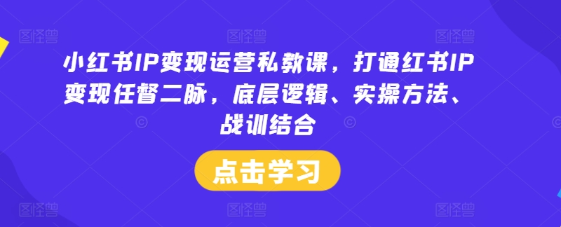 小红书IP变现运营私教课，打通红书IP变现任督二脉，底层逻辑、实操方法、战训结合-菜菜网创