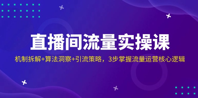 直播间流量实操课：机制拆解+算法洞察+引流策略，3步掌握流量运营核心逻辑-菜菜网创