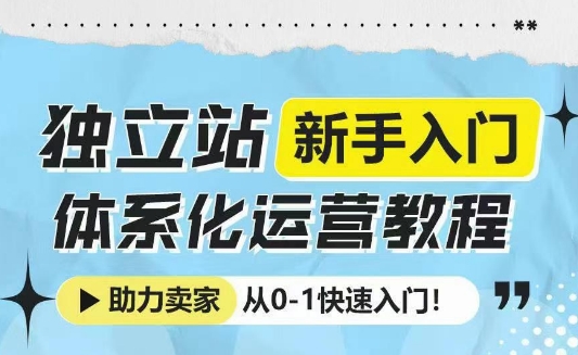独立站新手入门体系化运营教程，助力独立站卖家从0-1快速入门!-菜菜网创