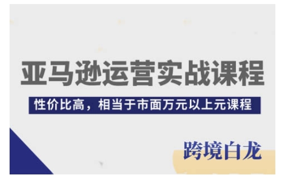 亚马逊运营实战课程，亚马逊从入门到精通，性价比高，相当于市面万元以上元课程-菜菜网创