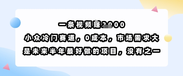 一条视频挣1k，小众冷门赛道，0成本，市场需求大，是未来半年最好做的项目，没有之一-菜菜网创