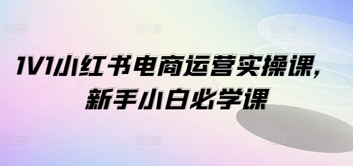 1V1小红书电商运营实操课，新手小白必学课-菜菜网创