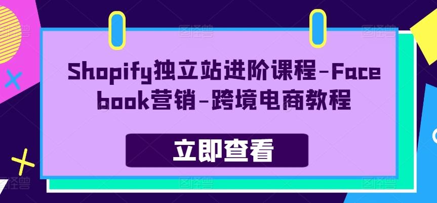 Shopify独立站进阶课程-Facebook营销-跨境电商教程-菜菜网创