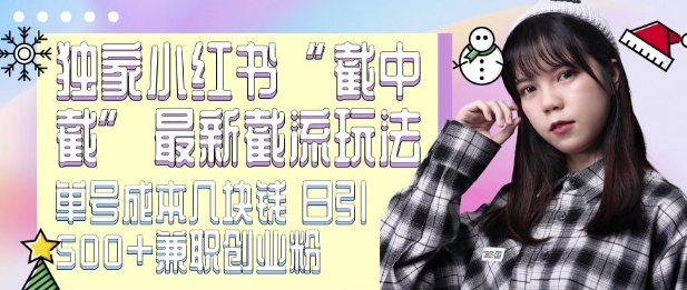 最新小红书截流玩法 独家截中截 单号成本几块钱 日引500+CY粉JZ粉-菜菜网创