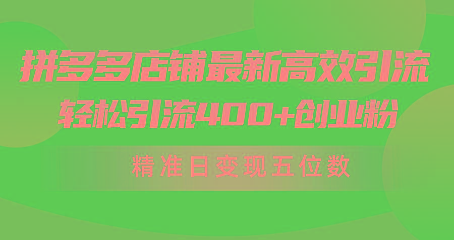 (10041期)拼多多店铺最新高效引流术，轻松引流400+创业粉，精准日变现五位数！-菜菜网创