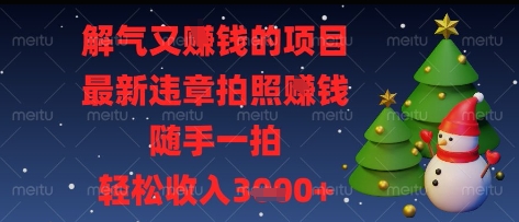 解气又挣钱的项目，最新违章拍照挣钱，随手一拍，轻松收入多张【揭秘】-菜菜网创