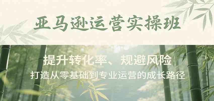 亚马逊运营实操班，提升转化率、规避风险，打造从零基础到专业运营的成长路径-菜菜网创