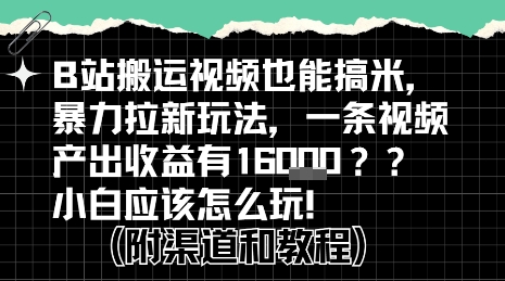 b站掘金计划？搬运视频也能挣拉新的收益，小白应该怎么玩！-菜菜网创