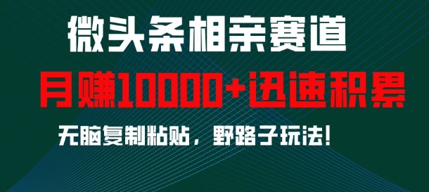 微头条相亲赛道，迅速积累，无脑复制粘贴，野路子玩法，月入1w-菜菜网创