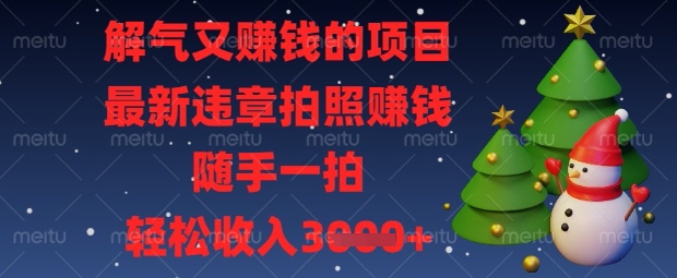 解气又挣钱的项目，最新违章拍照挣钱，随手一拍，轻松收入数张【揭秘】-菜菜网创