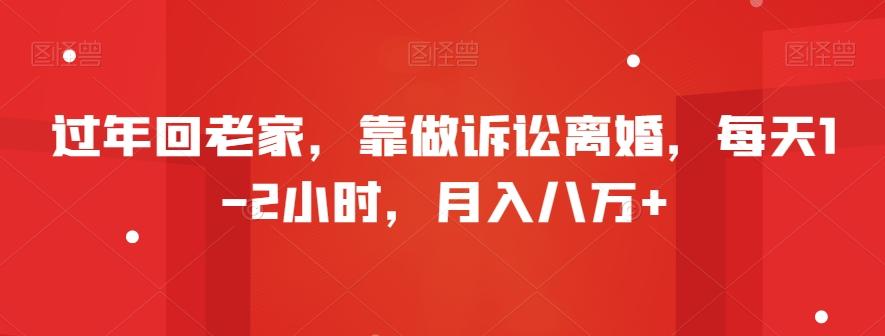过年回老家，靠做诉讼离婚，每天1-2小时，月入八万+-菜菜网创