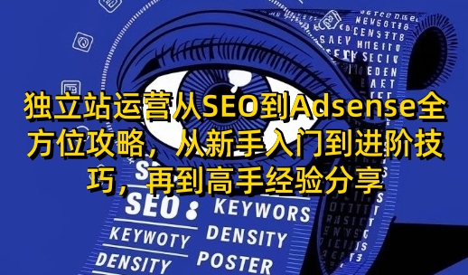 独立站运营从SEO到Adsense全方位攻略，从新手入门到进阶技巧，再到高手经验分享-菜菜网创