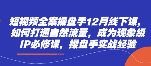 短视频全案操盘手12月线下课，如何打通自然流量，成为现象级IP必修课，操盘手实战经验-菜菜网创