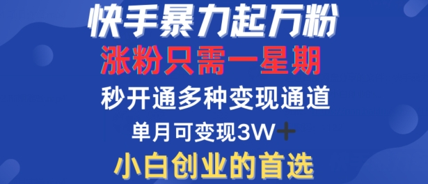 快手暴力起万粉，涨粉只需一星期，多种变现模式，直接秒开万合，单月变现过W【揭秘】-菜菜网创
