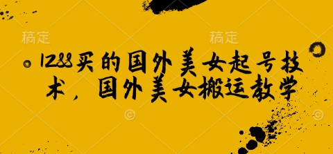 1288买的国外美女起号技术，国外美女搬运教学-菜菜网创