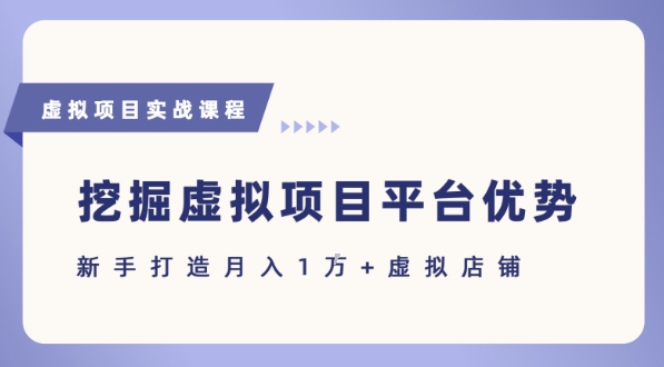 抓住虚拟项目各平台优势，新手轻松月入1W+(给出具体建议)-菜菜网创