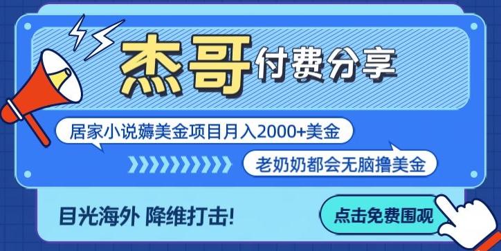 拆解海外撸美金项目月入2000美刀详细指导-菜菜网创