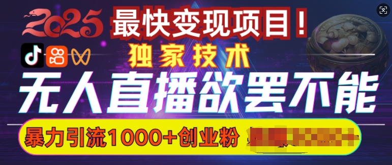 欲罢不能的无人直播引流，超暴力日引流1000+高质量精准创业粉-菜菜网创