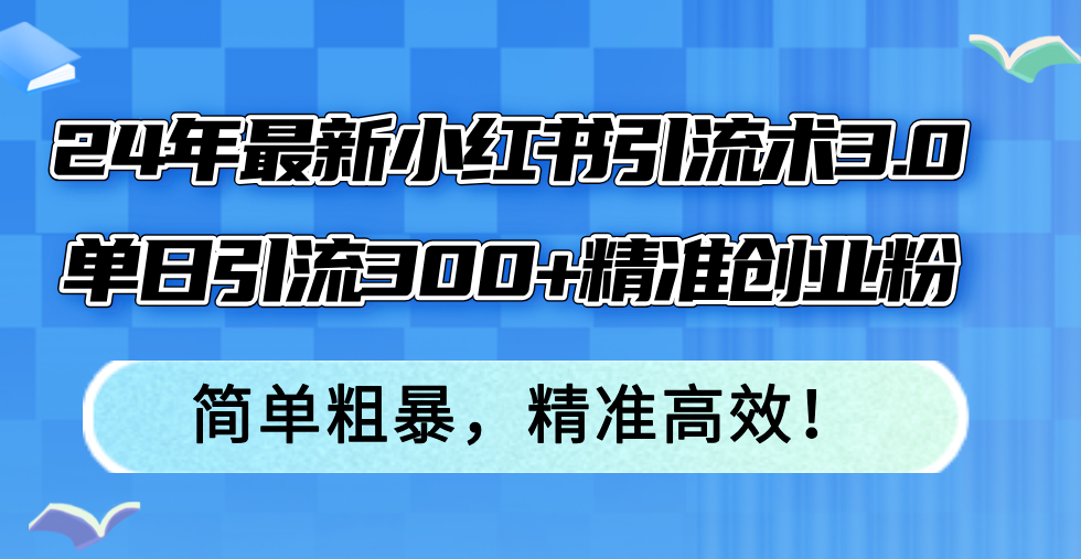 24年最新小红书引流术3.0，单日引流300+精准创业粉，简单粗暴，精准高效！-菜菜网创