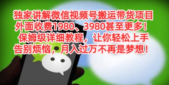 独家讲解微信视频号搬运带货项目，保姆级详细教程-菜菜网创