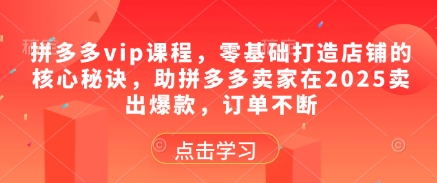拼多多vip课程，零基础打造店铺的核心秘诀，助拼多多卖家在2025卖出爆款，订单不断-菜菜网创