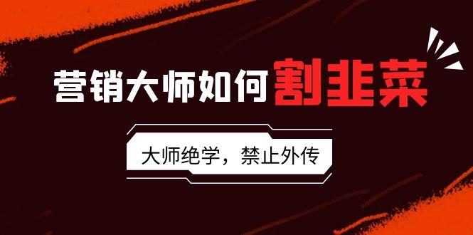 营销大师如何割韭菜：流量大师/讲故事大师/话术大师/卖货大师/成交大师/…-菜菜网创
