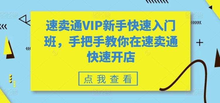 速卖通VIP新手快速入门班，手把手教你在速卖通快速开店-菜菜网创