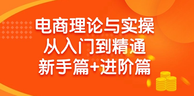 (9576期)电商理论与实操从入门到精通 新手篇+进阶篇-菜菜网创