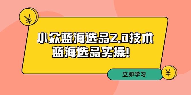 拼多多培训第33期：小众蓝海选品2.0技术-蓝海选品实操！-菜菜网创