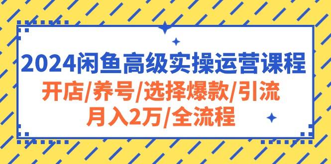 2024闲鱼高级实操运营课程：开店/养号/选择爆款/引流/月入2万/全流程-菜菜网创