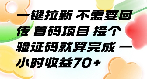 一键拉新 不需要回传 首码项目 接个验证码就算完成 一小时收益70+【揭秘】-菜菜网创