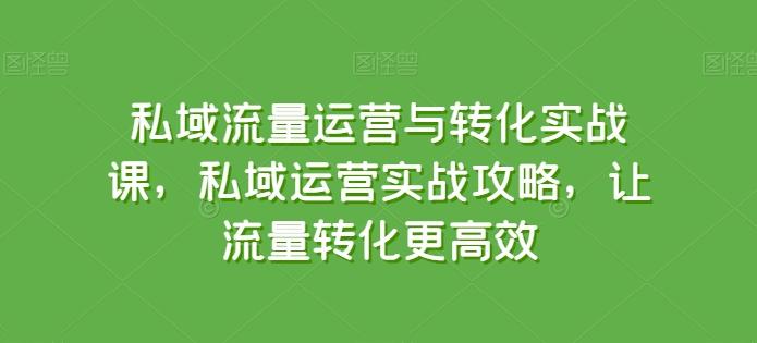 私域流量运营与转化实战课，私域运营实战攻略，让流量转化更高效-菜菜网创