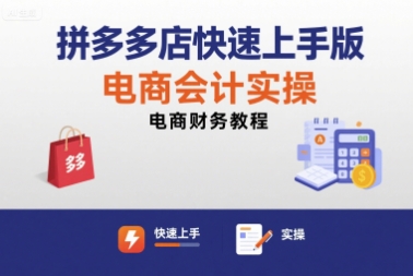 拼多多店快速上手版电商会计实操-电商财务教程-菜菜网创