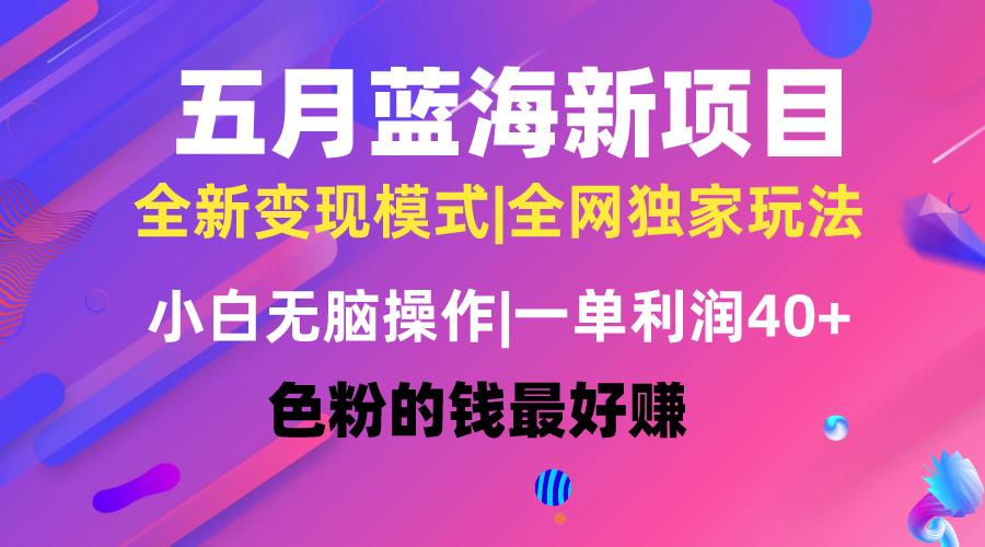 五月蓝海项目全新玩法，小白无脑操作，一天几分钟，矩阵操作，月入4万+-菜菜网创