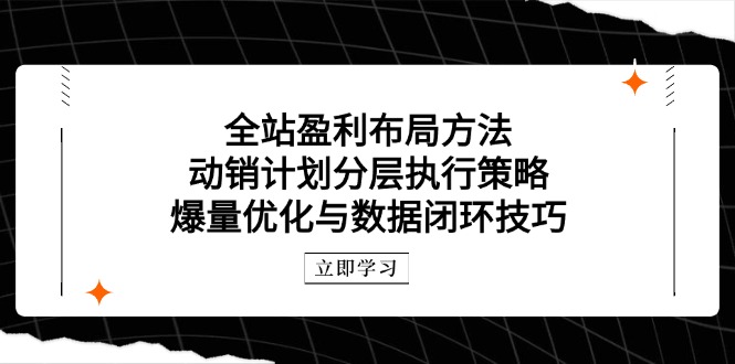 全站盈利布局方法：动销计划分层执行策略，爆量优化与数据闭环技巧-菜菜网创