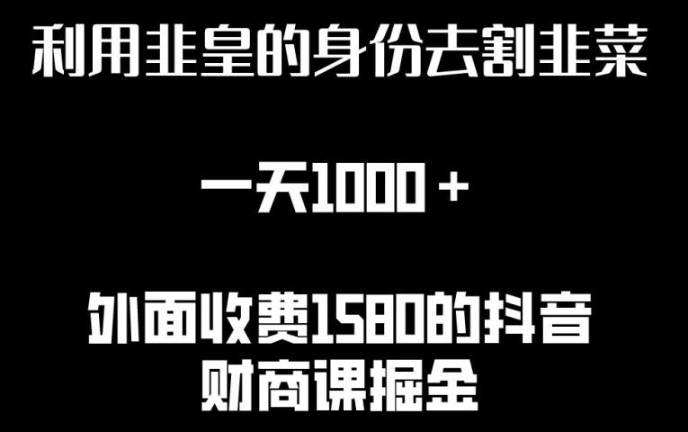 利用非皇的身份去割韭菜，一天1000+(附详细资源)【揭秘】-菜菜网创