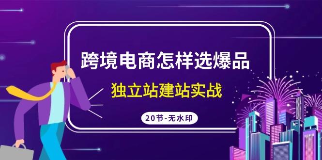 (9369期)跨境电商怎样选爆品，独立站建站实战(20节高清无水印课)-菜菜网创