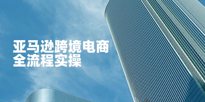 亚马逊跨境电商全流程实操，教你从零开始，掌握店铺运营与广告技巧-菜菜网创