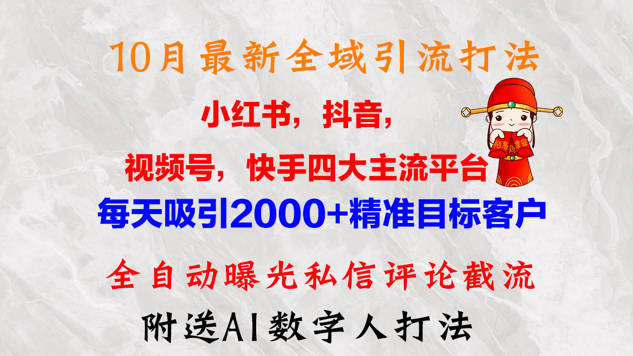 10月最新小红书，抖音，视频号，快手四大平台全域引流，，每天吸引2000…-菜菜网创