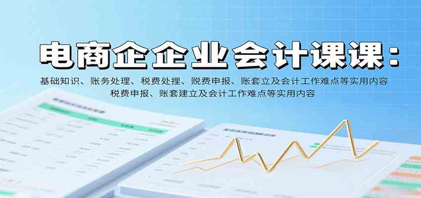 电商企业会计课：基础知识、账务处理、税费申报、账套建立及会计工作难点等实用内容-菜菜网创