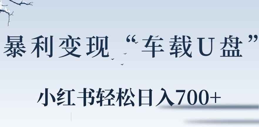 小红书“车载U盘”暴利引流，日入700+-菜菜网创