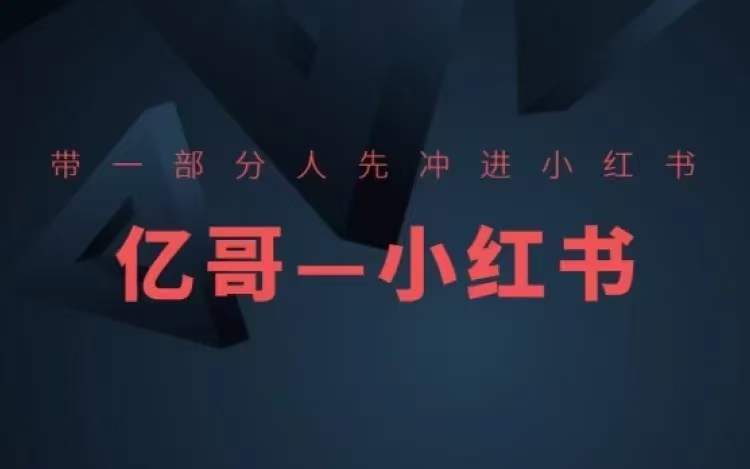 ​​带一部分人先冲进小红书，小红书开店、选品、爆款裂变-菜菜网创